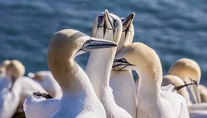 kaiyun体育官方入口-尹波：苏宁靠什么成为中超新霸主？有钱，会花钱！